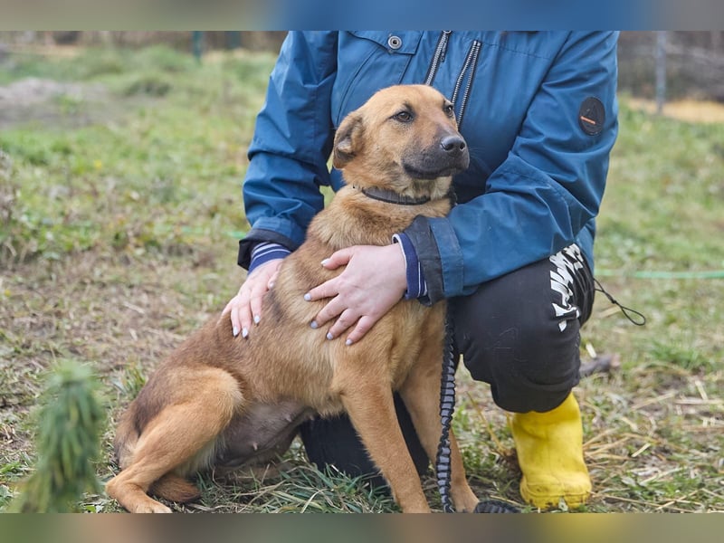 Maxi❤️träumt von ihren Herzensmenschen