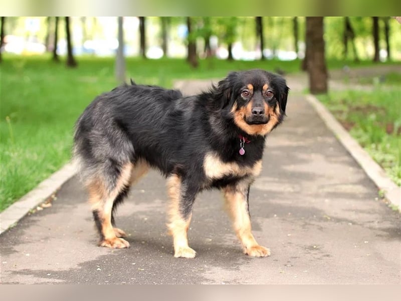 Emma❤️träumt von Ihren Menschen