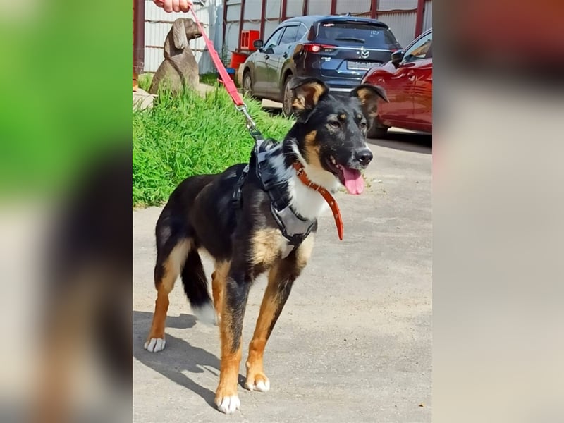 Bianca❤️sucht dringend eine erfahrene Pflege- oder Endstelle