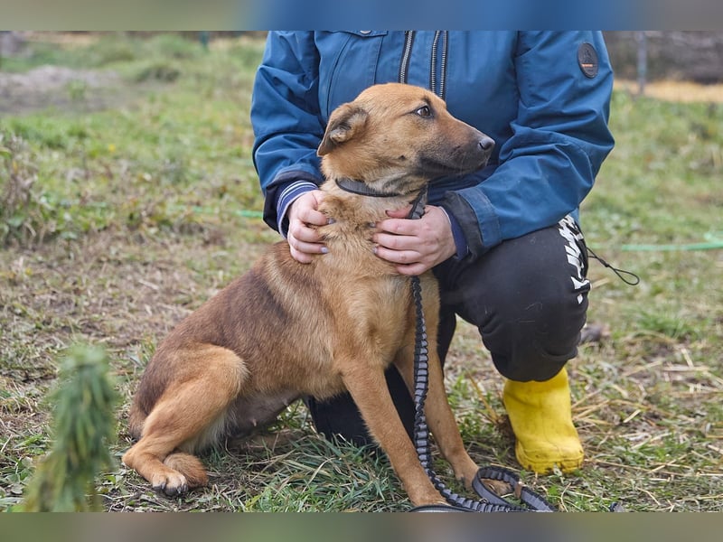 Maxi❤️träumt von ihren Herzensmenschen