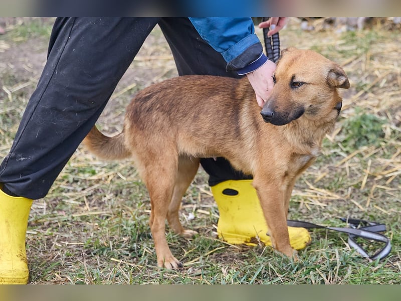 Maxi❤️träumt von ihren Herzensmenschen