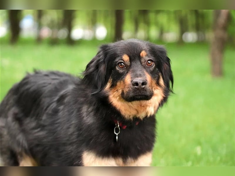 Emma❤️träumt von Ihren Menschen