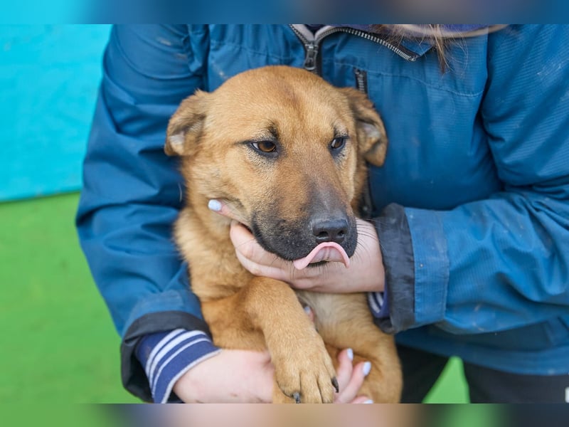 Maxi❤️träumt von ihren Herzensmenschen