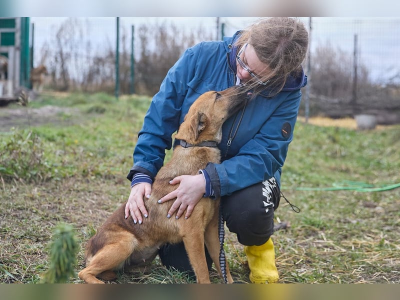Maxi❤️träumt von ihren Herzensmenschen