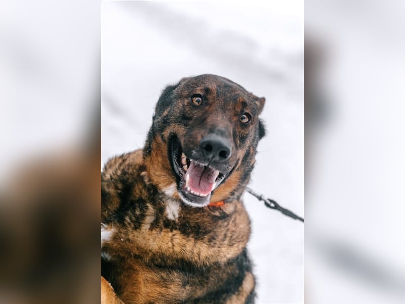 Whiskey❤️& Brandon❤️ –  Mutter und Sohn unzertrennlich