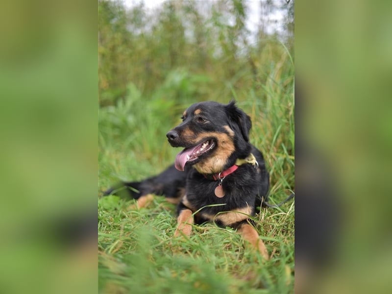 Emma❤️träumt von Ihren Menschen
