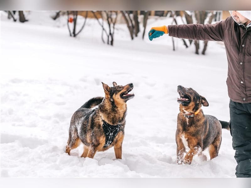 Whiskey❤️& Brandon❤️ –  Mutter und Sohn unzertrennlich