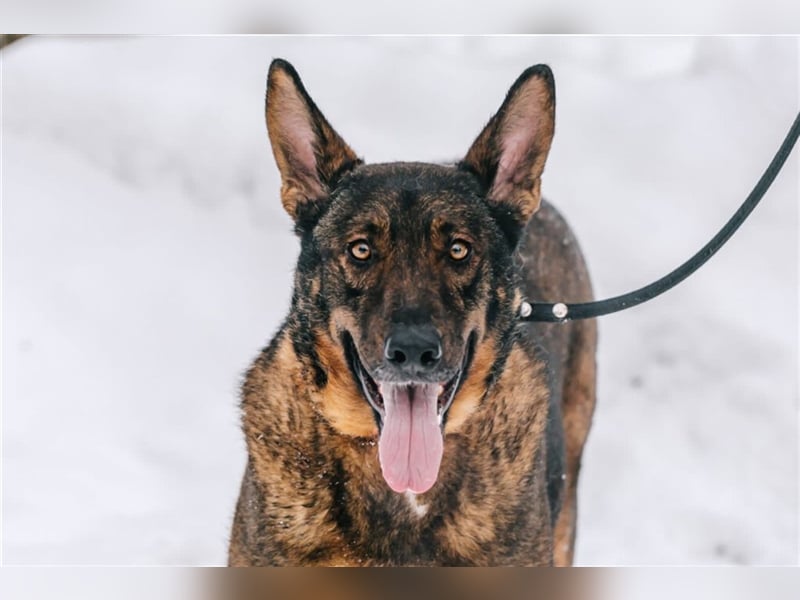 Whiskey❤️& Brandon❤️ –  Mutter und Sohn unzertrennlich