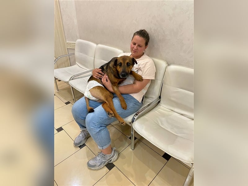 Zauberhafte Foxy❤️sucht ein liebevolles Zuhause trotz ihrer Herausforderungen