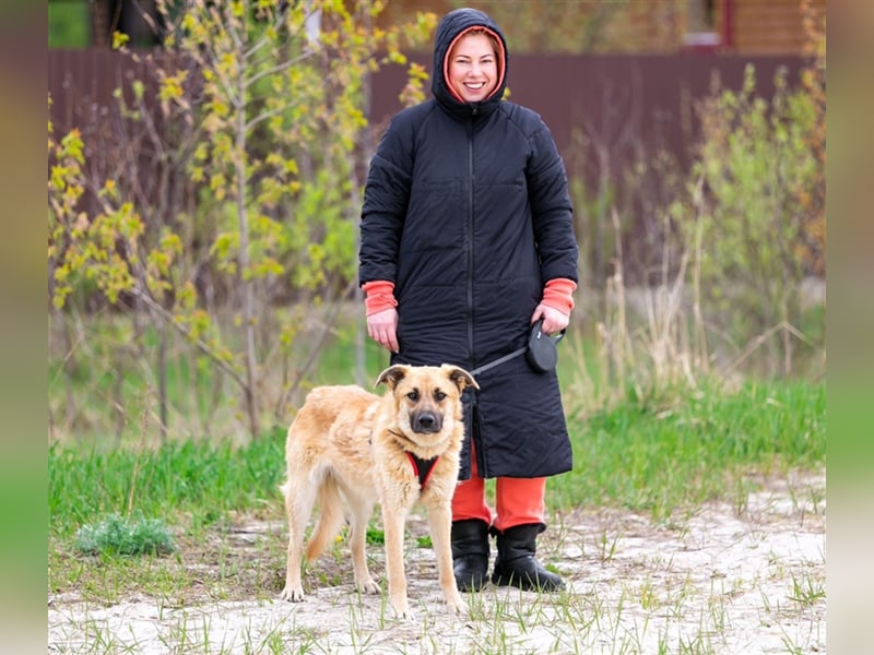 Judy❤️, eine Herzenshündin, gerettet aus der Kälte