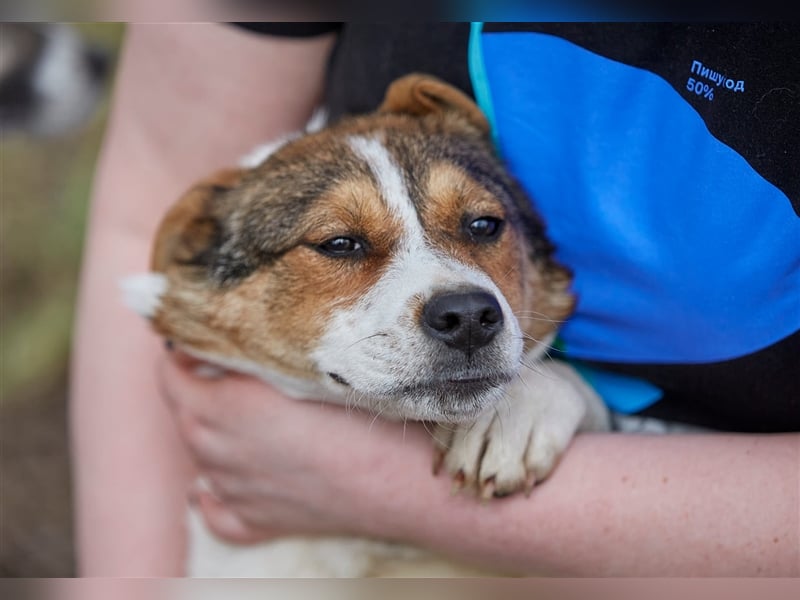 Liebenswerte Tierschutzhündin Irmgard❤️sucht Körbchen fürs Leben