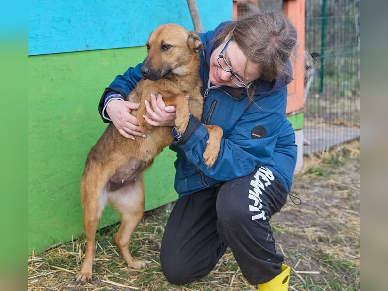 Maxi❤️träumt von ihren Herzensmenschen