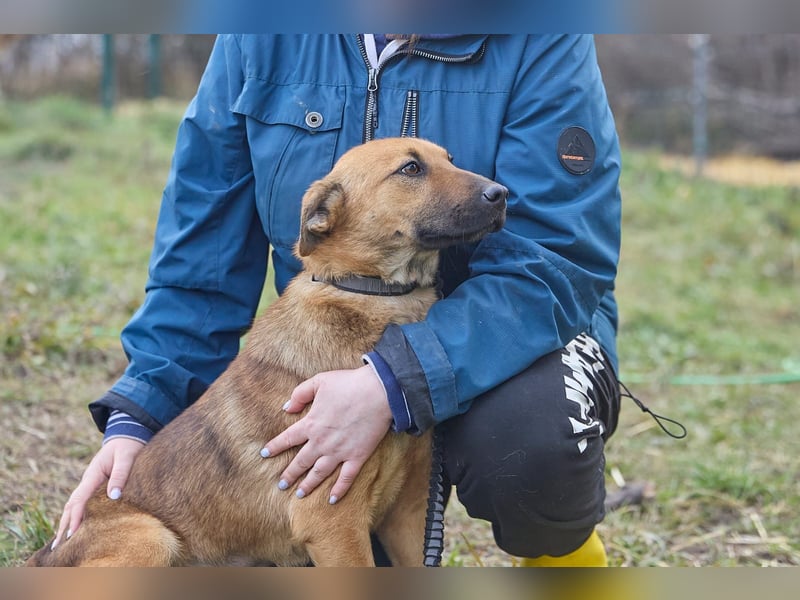 Maxi❤️träumt von ihren Herzensmenschen