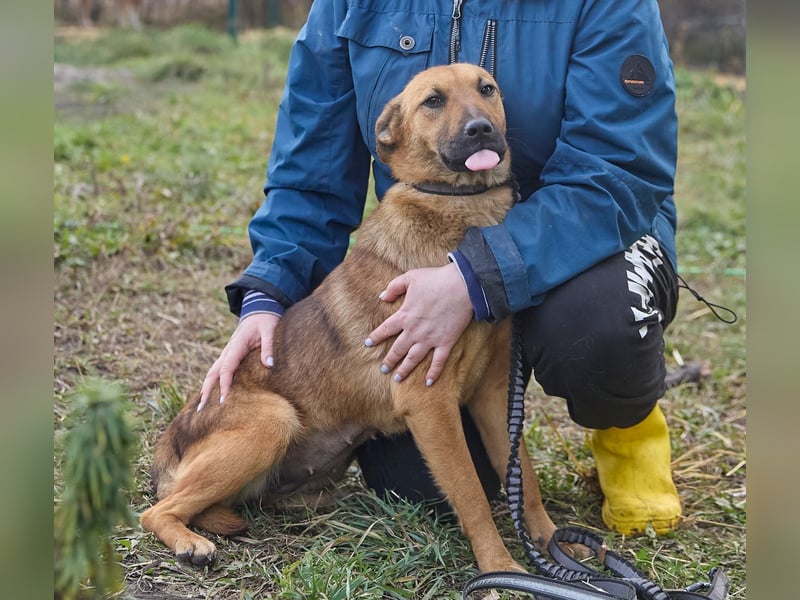 Maxi❤️träumt von ihren Herzensmenschen