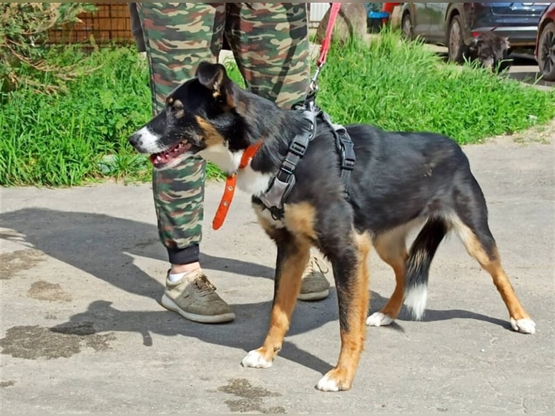 Bianca❤️sucht dringend eine erfahrene Pflege- oder Endstelle