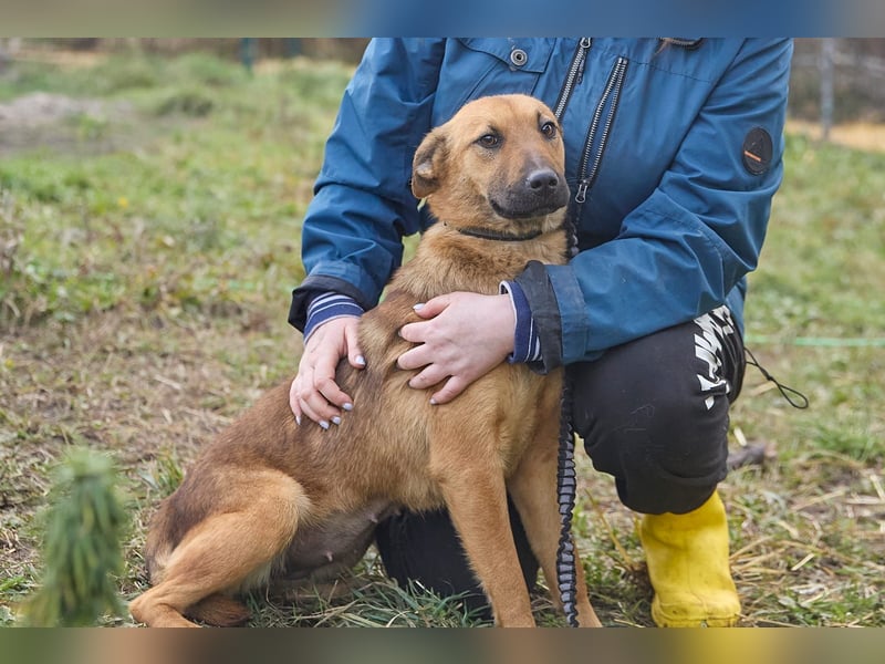 Maxi❤️träumt von ihren Herzensmenschen