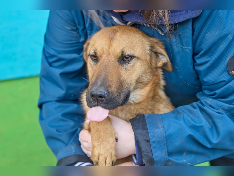 Maxi❤️träumt von ihren Herzensmenschen