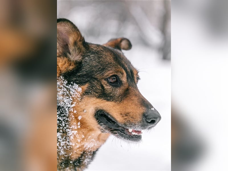 Whiskey❤️& Brandon❤️ –  Mutter und Sohn unzertrennlich