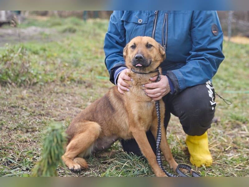 Maxi❤️träumt von ihren Herzensmenschen