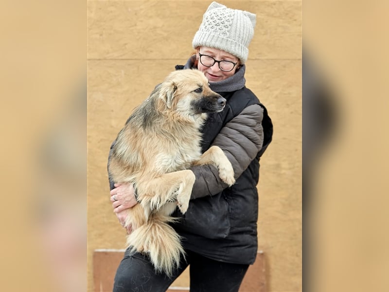 Bezaubernde Hündin Snickers❤️sucht ihre Herzensmenschen