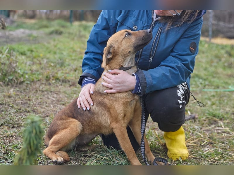 Maxi❤️träumt von ihren Herzensmenschen