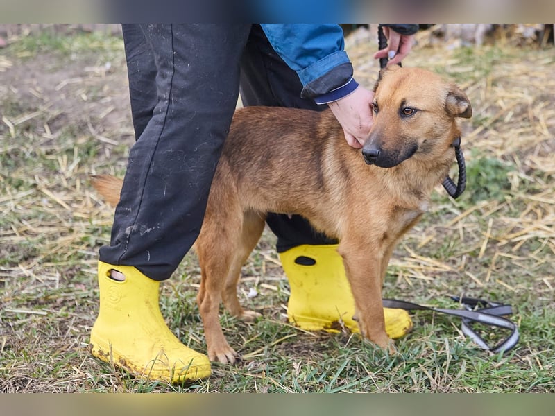 Maxi❤️träumt von ihren Herzensmenschen