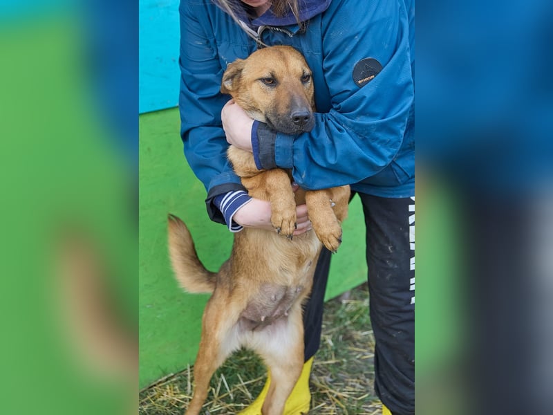 Maxi❤️träumt von ihren Herzensmenschen