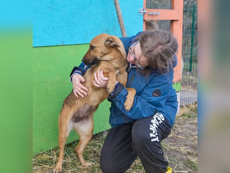 Maxi❤️träumt von ihren Herzensmenschen