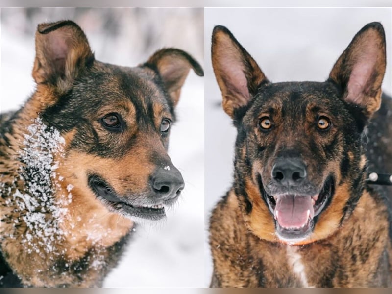 Whiskey❤️& Brandon❤️ –  Mutter und Sohn unzertrennlich