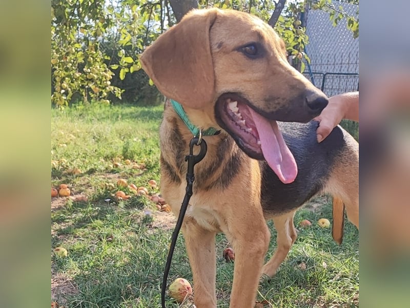 Mädchen Lucy sucht ihr Für-Immer-Körbchen ❤️