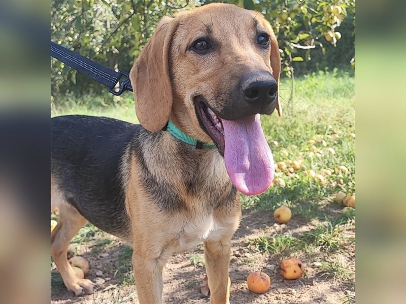 Mädchen Lucy sucht ihr Für-Immer-Körbchen ❤️