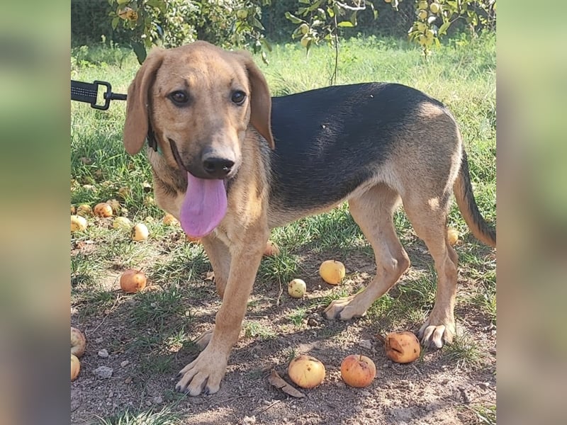 Mädchen Lucy sucht ihr Für-Immer-Körbchen ❤️