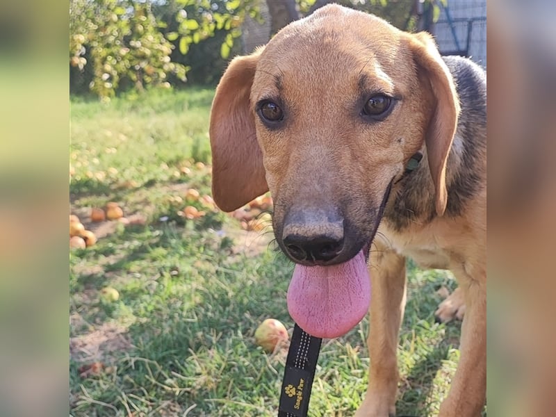 Mädchen Lucy sucht ihr Für-Immer-Körbchen ❤️
