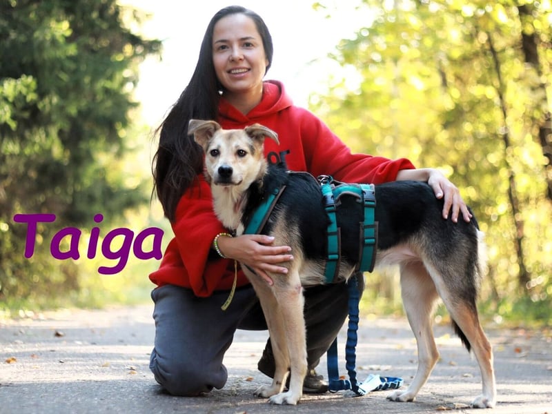 Taiga geb. 06/2023 - sehr kluge und gehorsame, junge Begleiterin!
