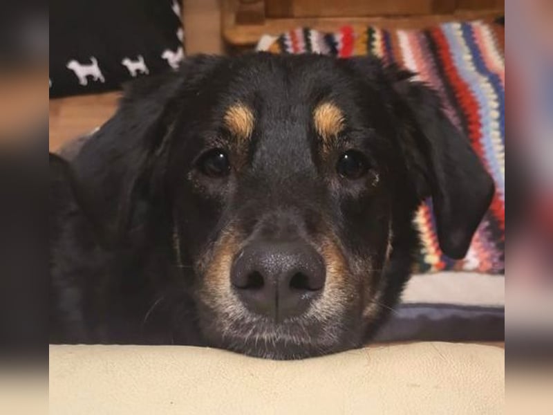 Dottie