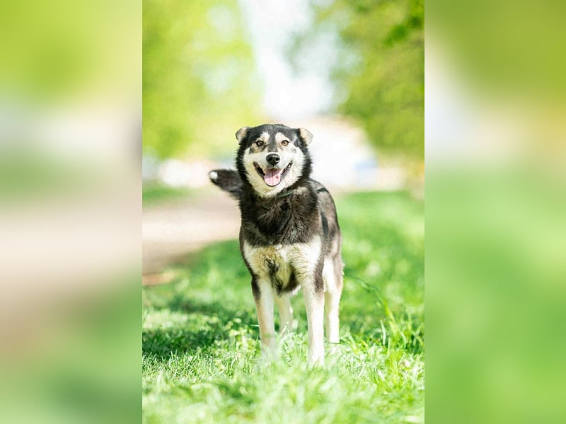 Frohnatur Lina sucht ihre Menschen