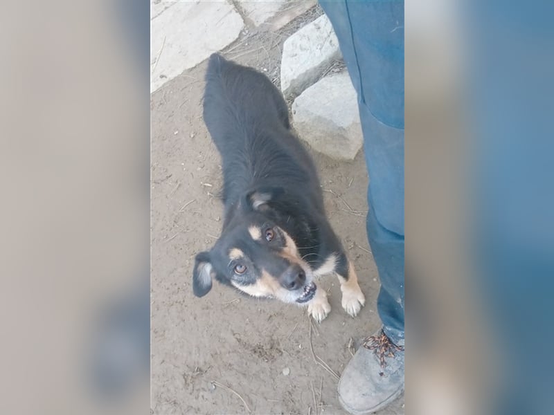 TRIXI, eine Zaubermaus mit kleinem Handicap
