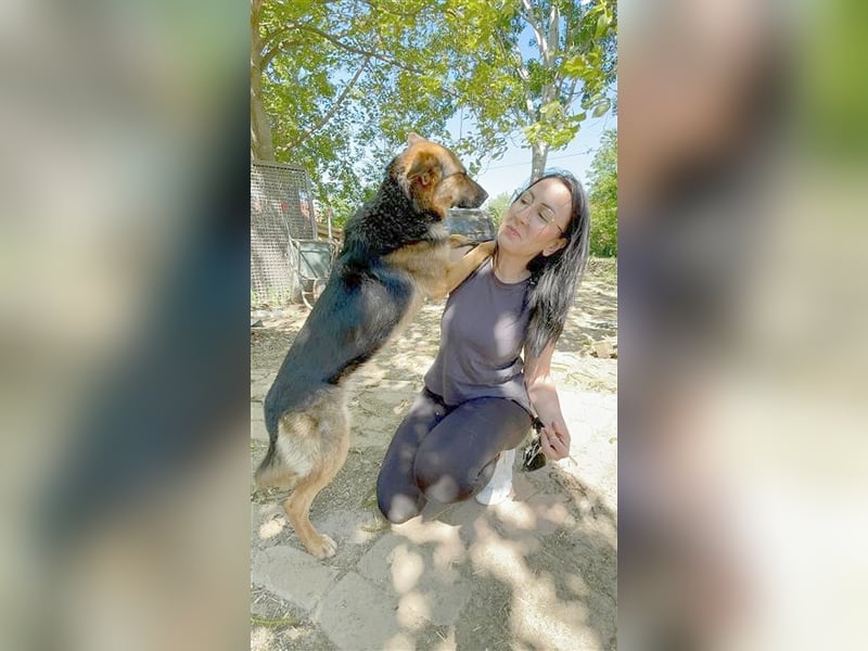 VIKI, eine Traummaus. Der  ideale Familienhund