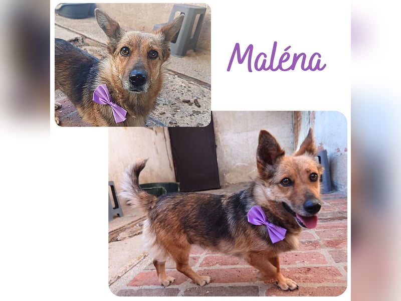 Maléna