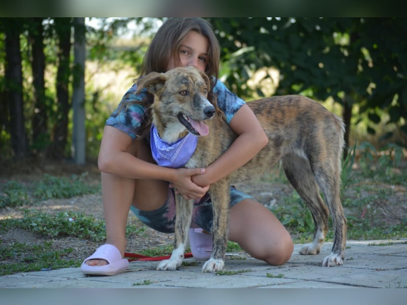 Vidina