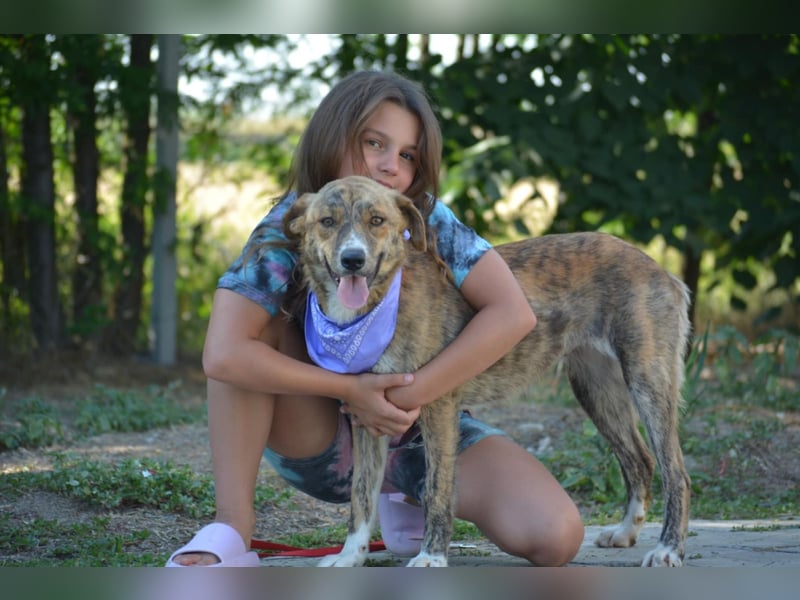 Vidina