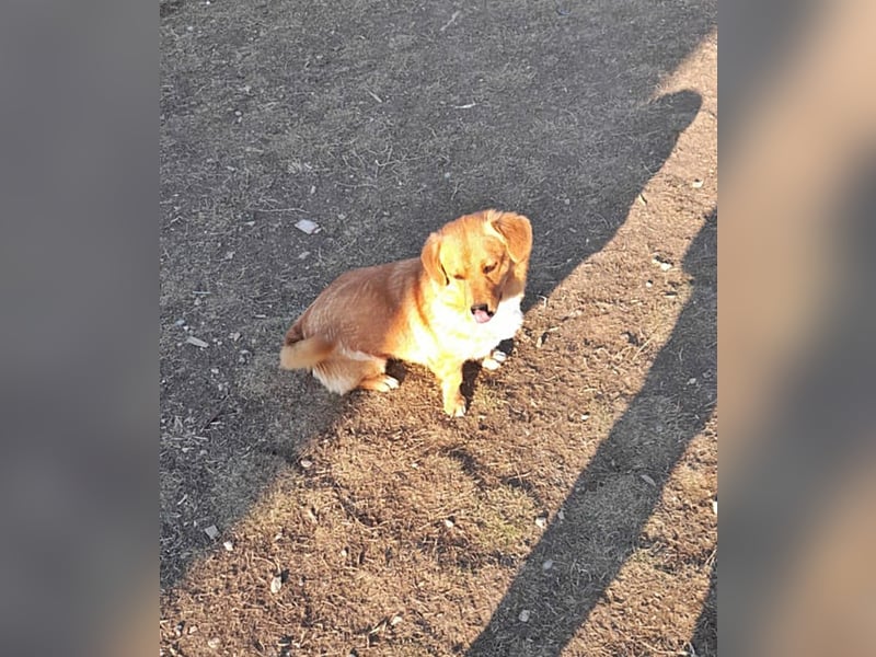 Daizy, freundlich und lieb