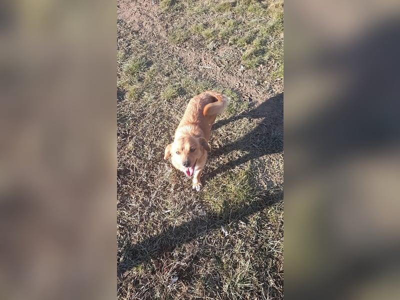 Daizy, freundlich und lieb