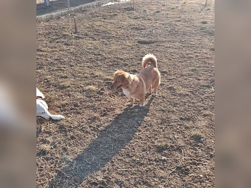 Daizy, freundlich und lieb