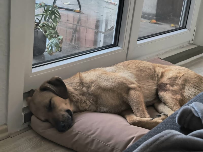 Sanfte Takk aus 40231 Düsseldorf sucht ihr Glück