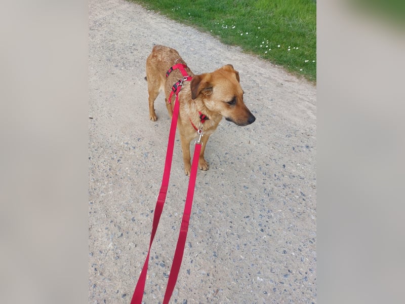 Sanfte Takk aus 40231 Düsseldorf sucht ihr Glück