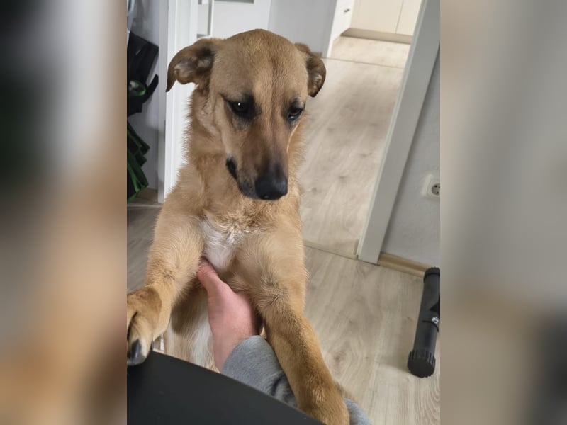 Sanfte Takk aus 40231 Düsseldorf sucht ihr Glück