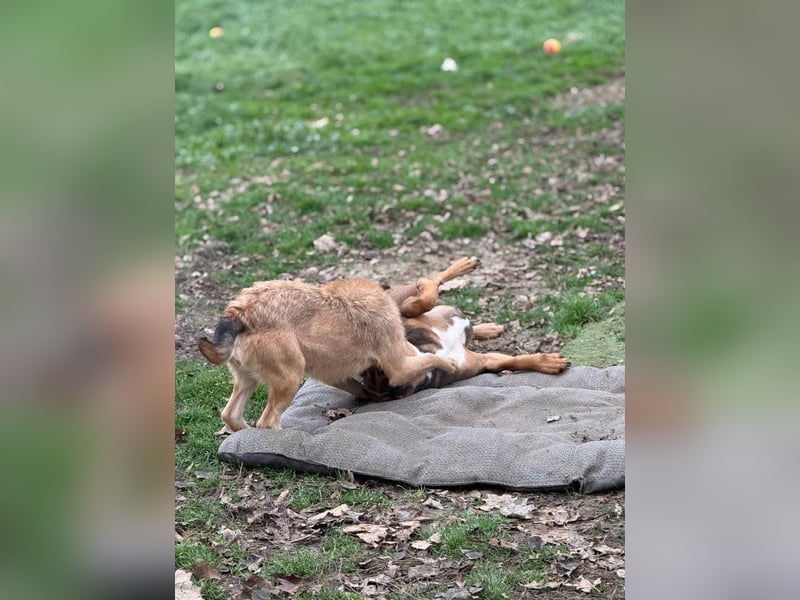 Doris, süßer kleiner Wirbelwind auf der Suche nach einem tollen Leben