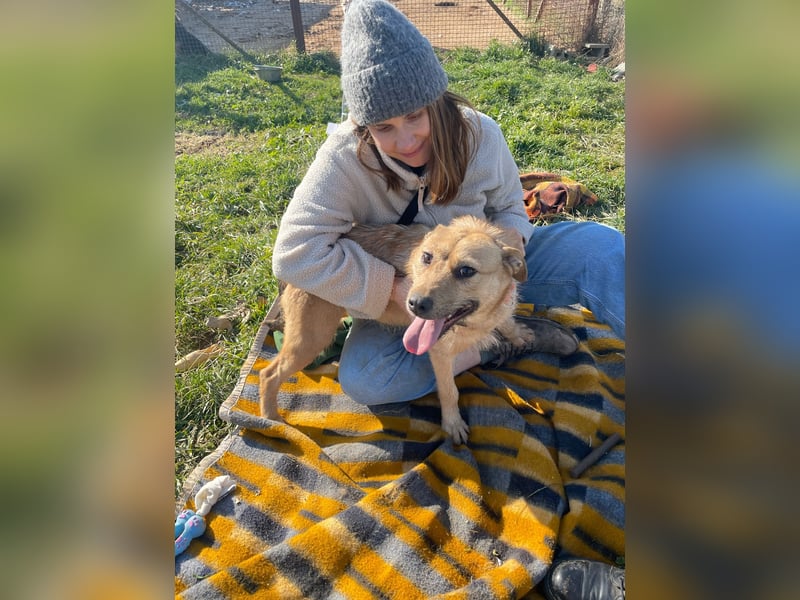 Doris, süßer kleiner Wirbelwind auf der Suche nach einem tollen Leben