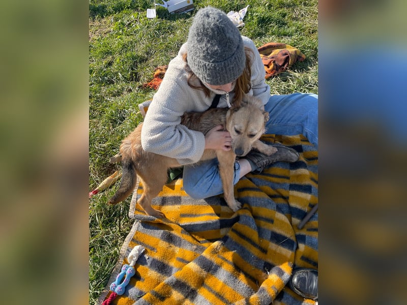 Doris, süßer kleiner Wirbelwind auf der Suche nach einem tollen Leben